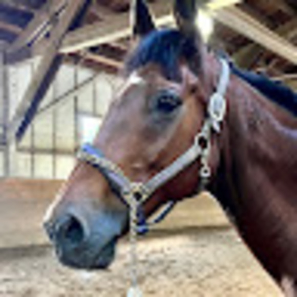 Meet your Posher, Lynn - Picture 1 of 1